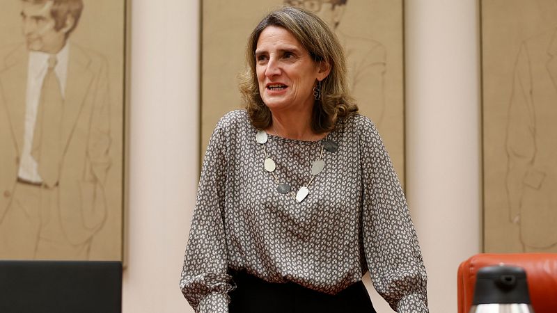 Ribera cuestiona la labor del juez García Castellón | Ver