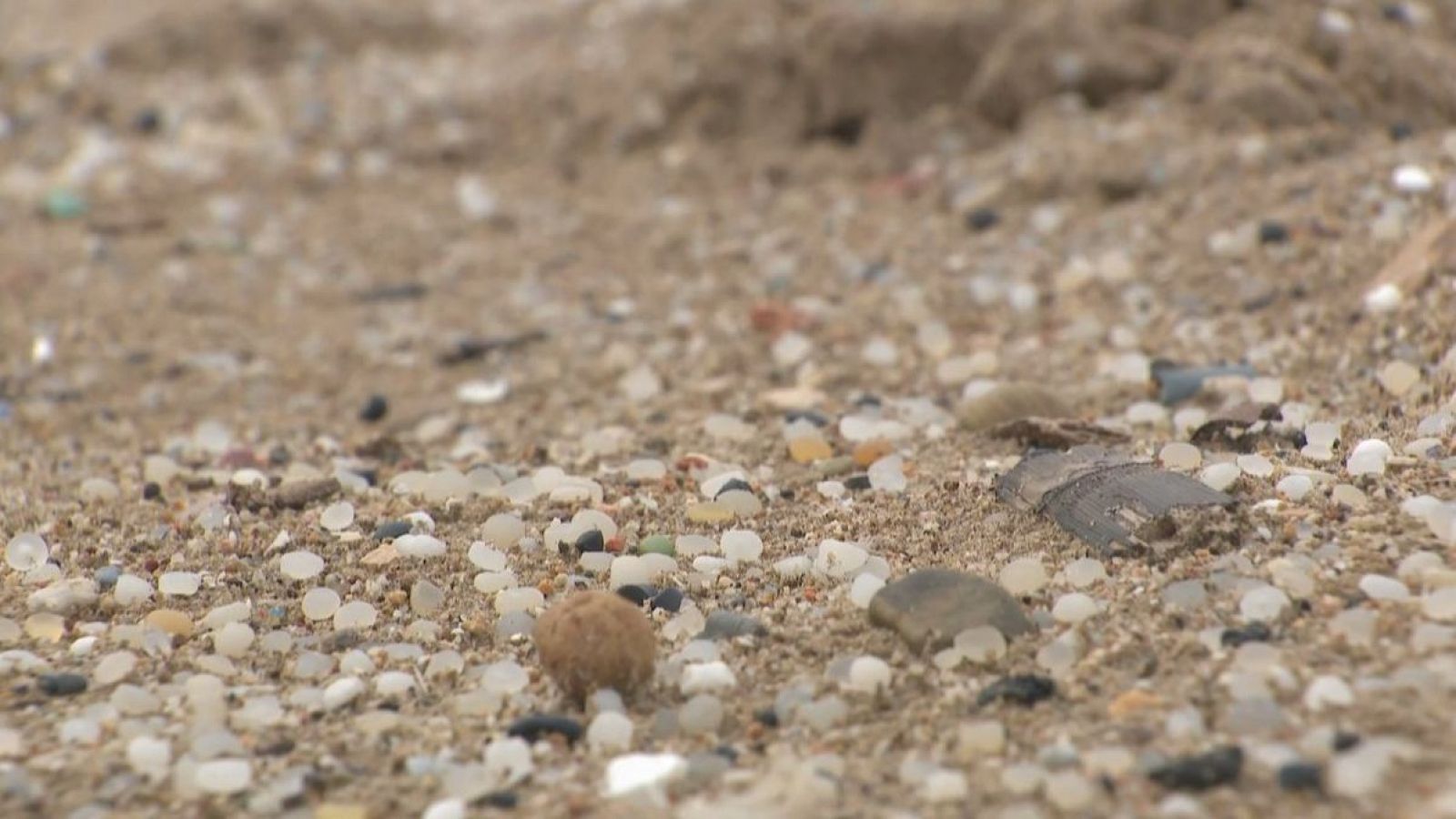 Preocupa la presència de microplàstics a la costa catalana - L'Informatiu | Ver
