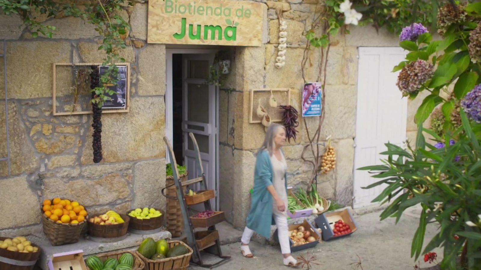 Los Eco-leguis - Los Argonautas y La Moneda de Oro | Ver