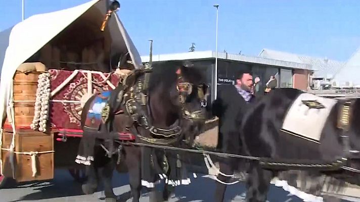L'Informatiu - La tradicional Rua dels Tres Tombs amb una nova normativa de benestar animal