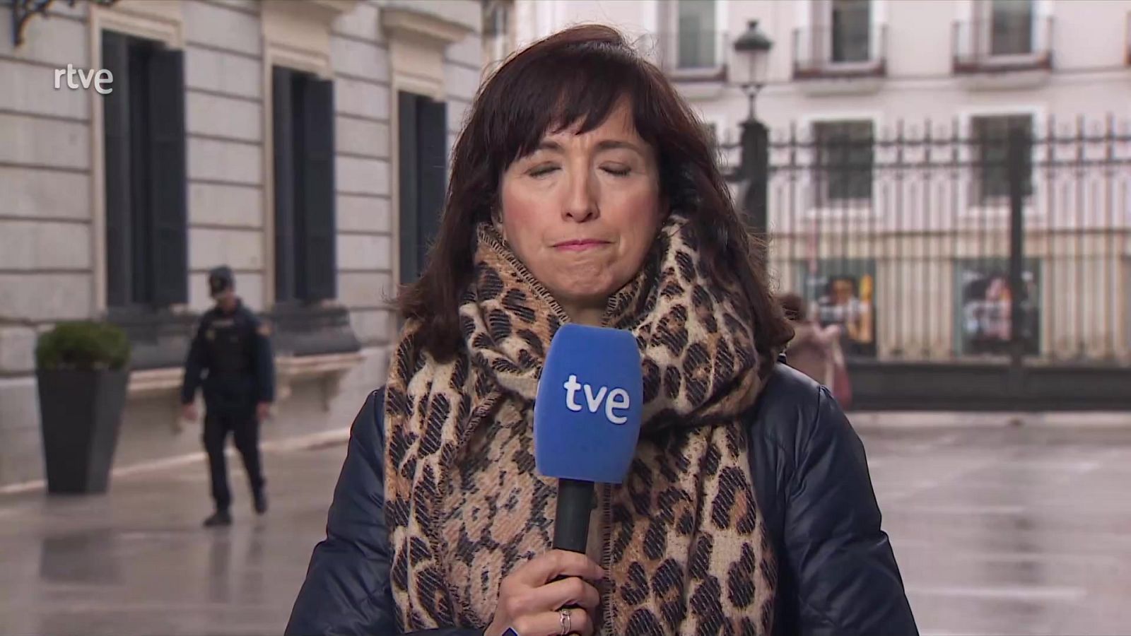 Parlamento-Foco Parlamentario.Ley de Amnistía | Ver