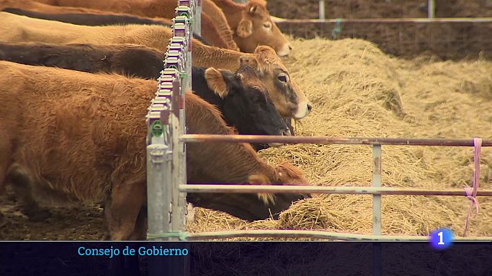 Informativo Telerioja  - 22/01/24 - Ver ahora