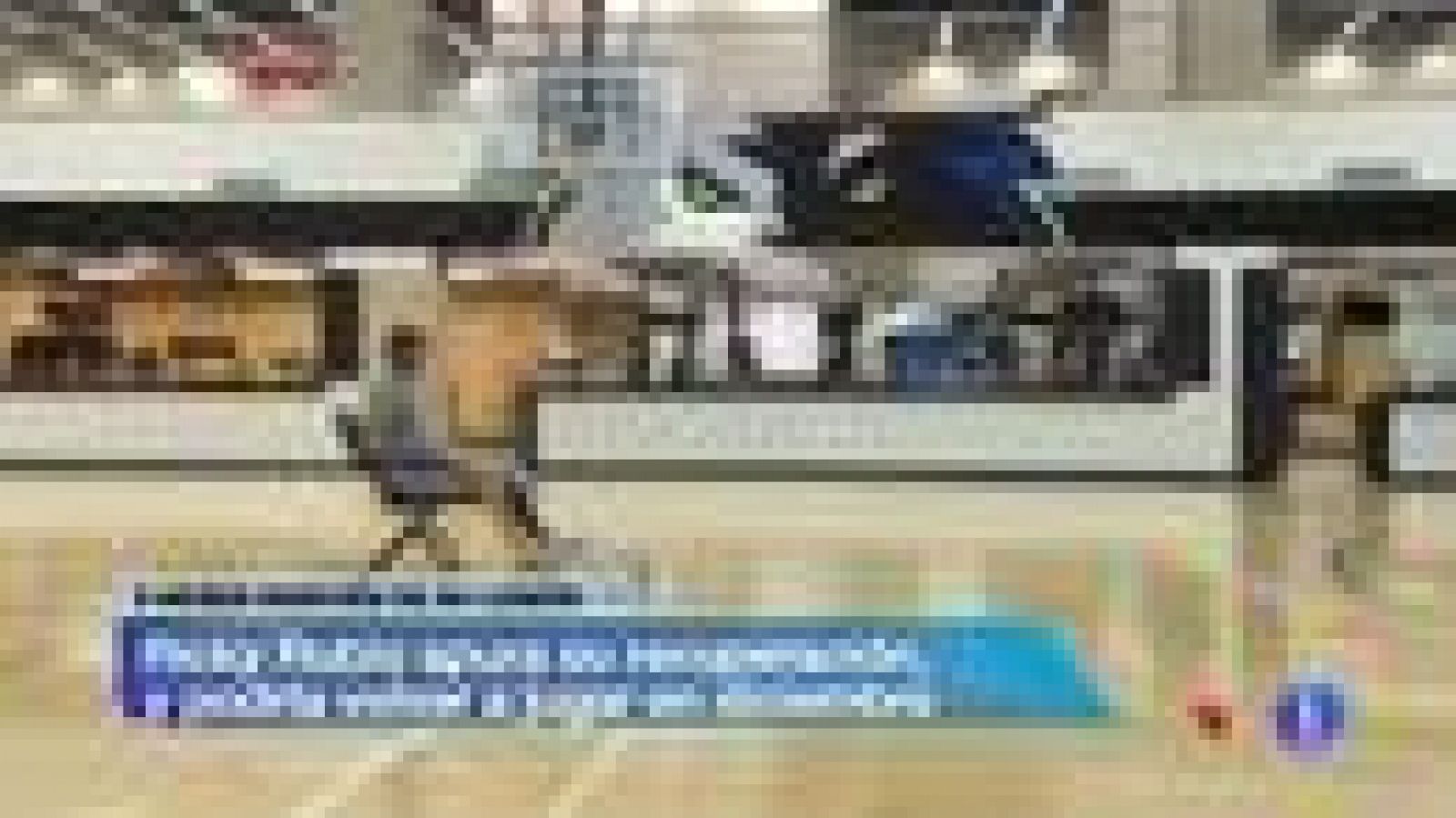 Ricky Rubio acelera su recuperación | Ver