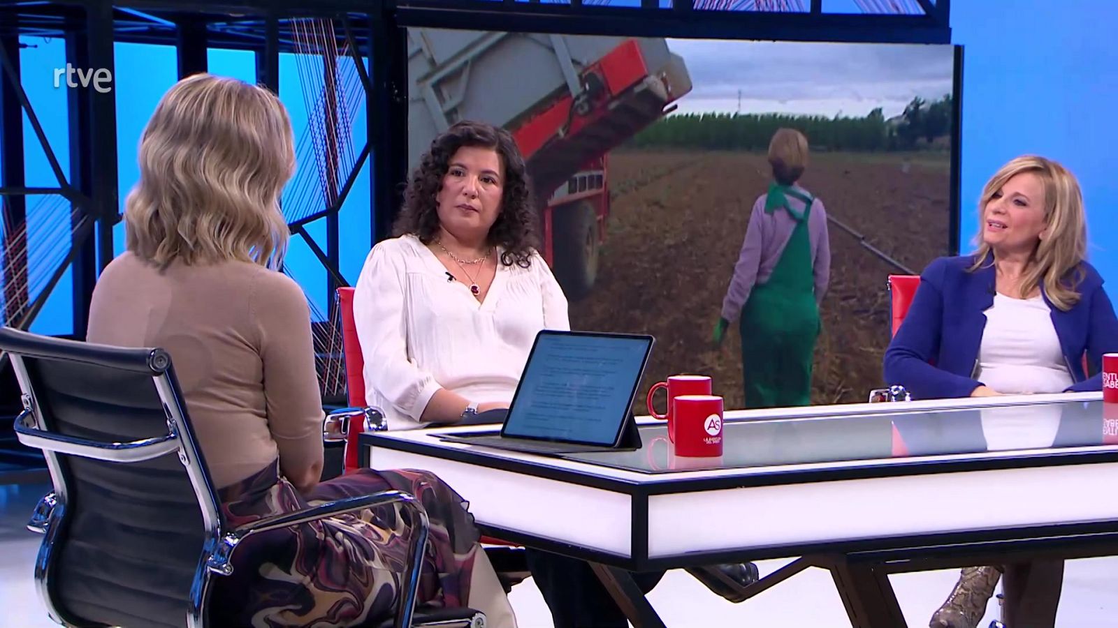 Proyecto europeo Grass Ceiling | Ver