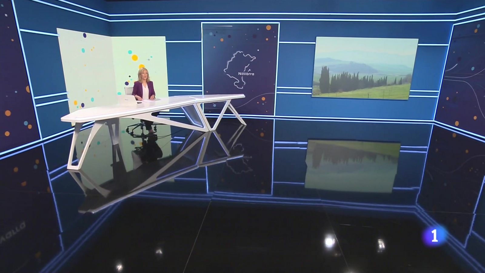 Telenavarra - Programa de información y actualidad en RTVE Play