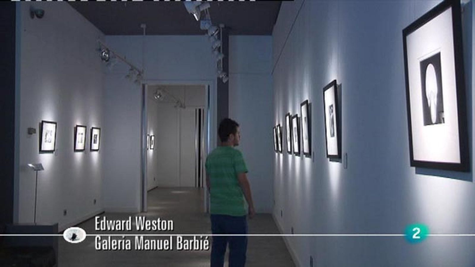 Continuarà - Exposició monogràfica d' Edward Weston