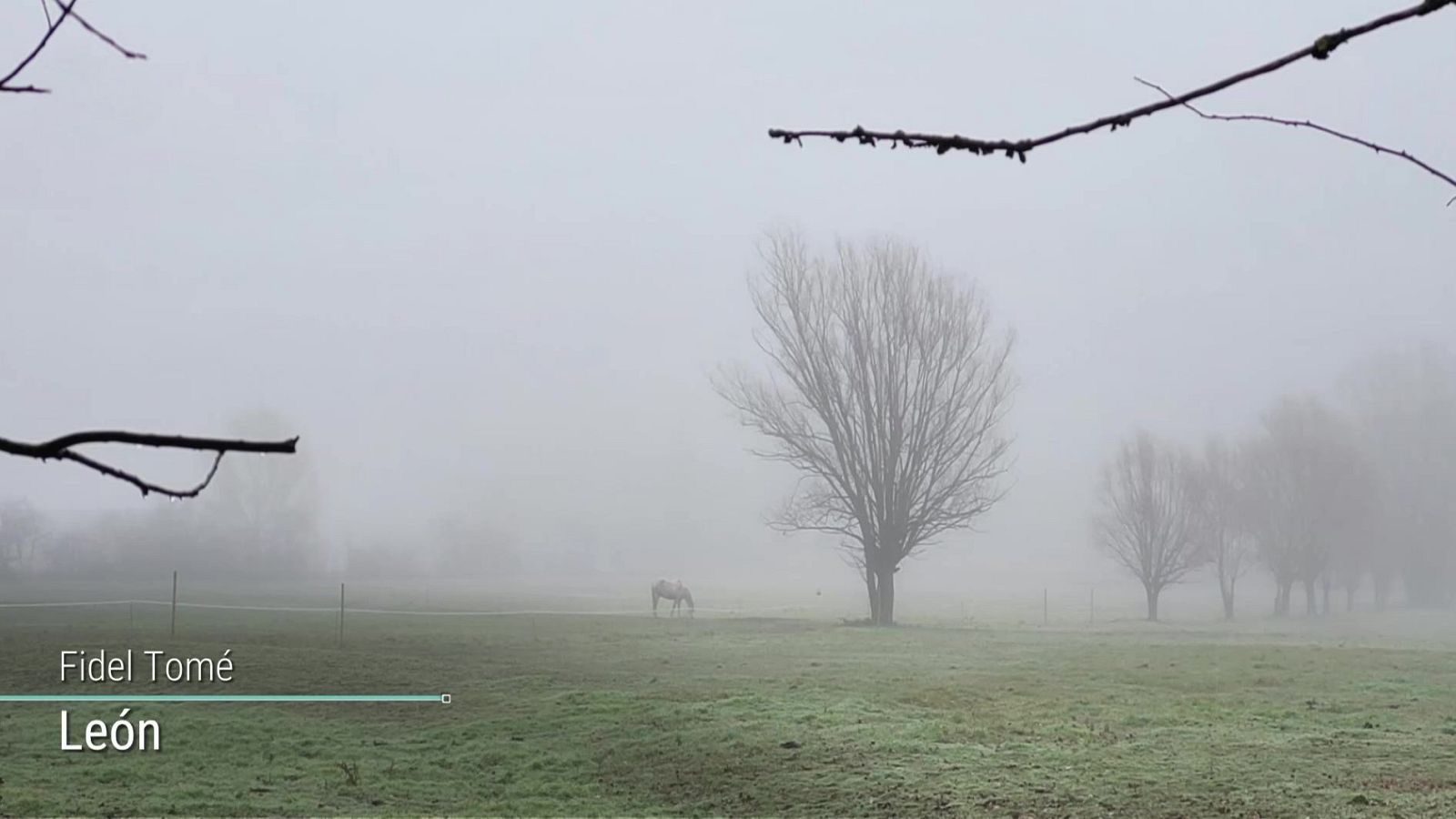 Intervalos de viento fuerte y/o rachas muy fuertes en Canarias y Estrecho - ver ahora