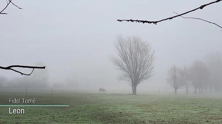 El tiempo - Intervalos de viento fuerte y/o rachas muy fuertes en Canarias y Estrecho
