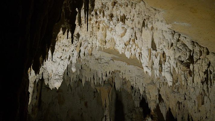 Arqueomanía - ¿Qué hacían los prehistóricos en las cuevas?