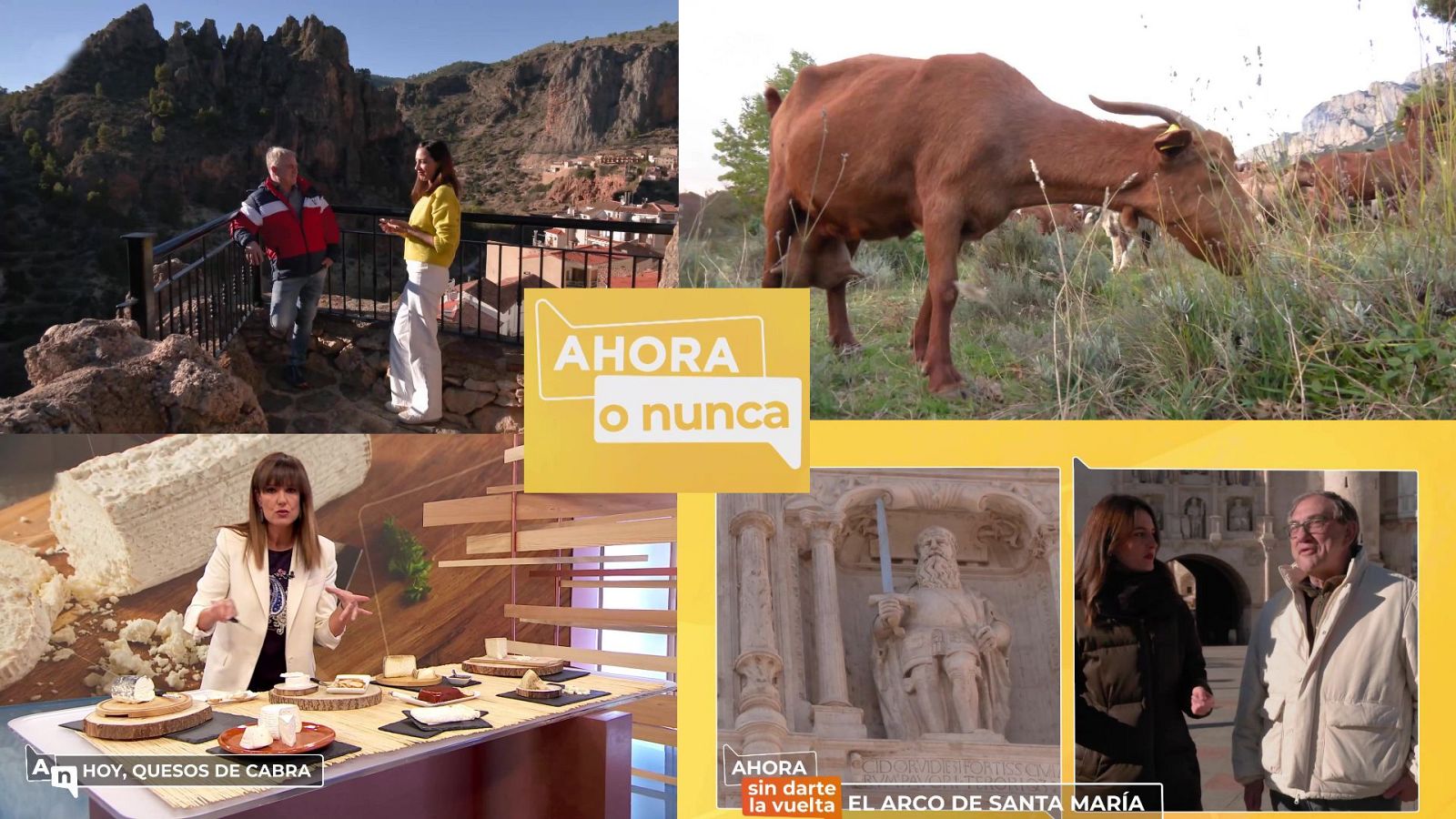 Ahora o nunca - Programa 255 - ver ahora