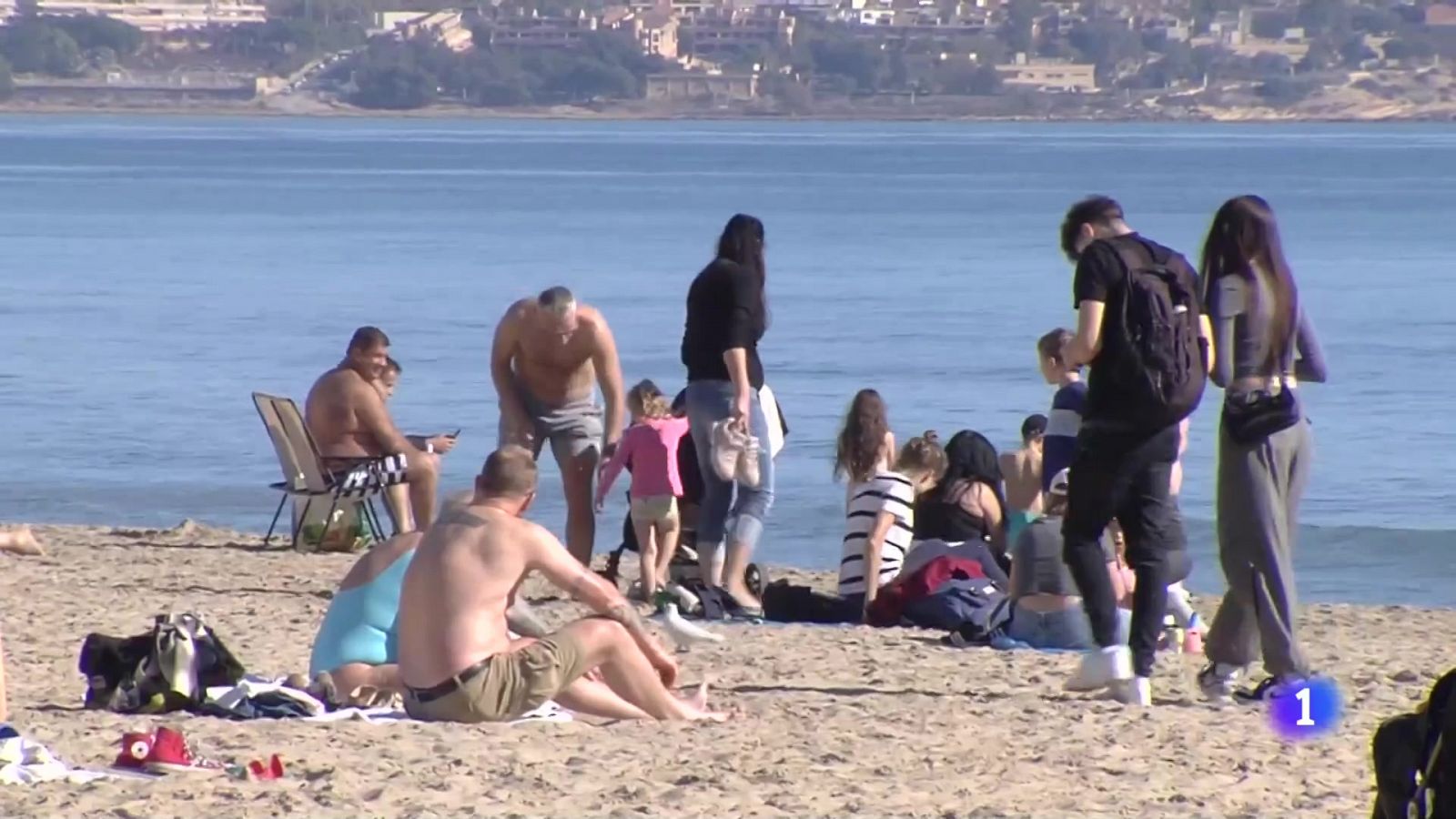 L'Informatiu de la Comunitat Valenciana 2 - 25/01/24 | Ver