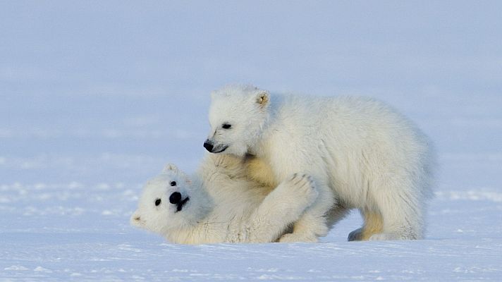 Somos documentales - La reina sin tierra - ver ahora