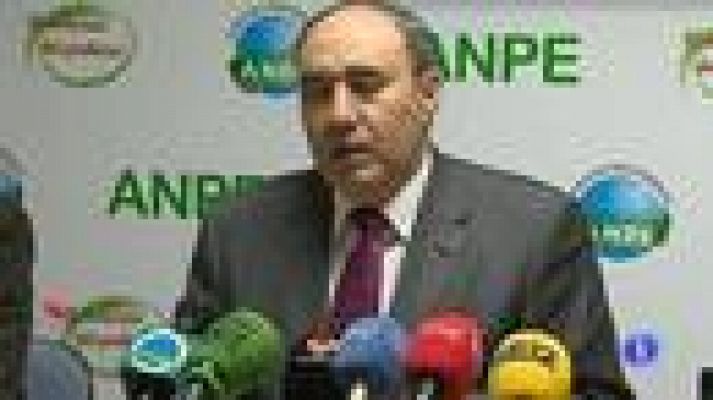 Telediario 1 - Encuesta a más de 10.000 docentes