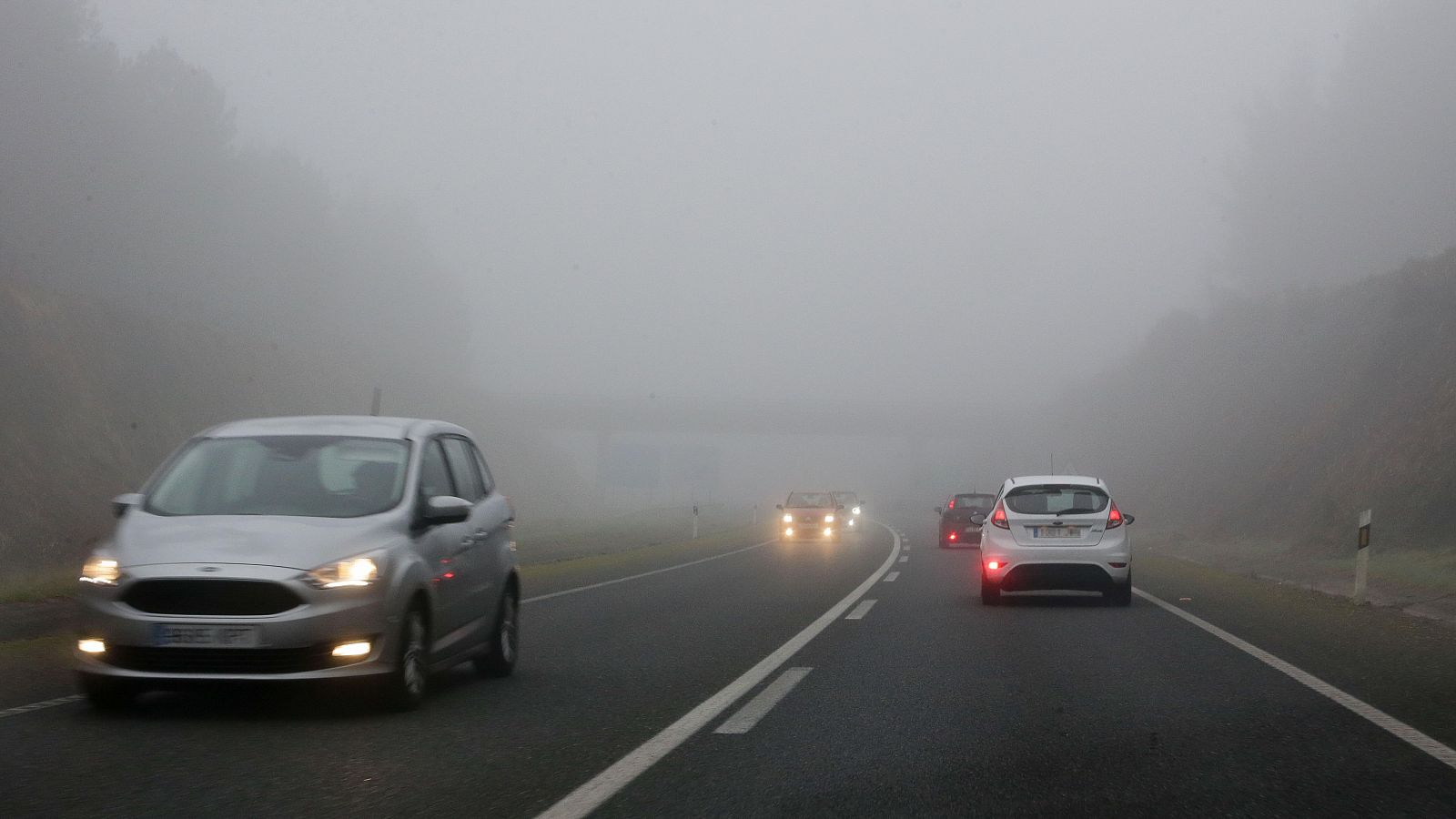 Conducir con niebla: reducir la velocidad y aumentar la distancia | Ver