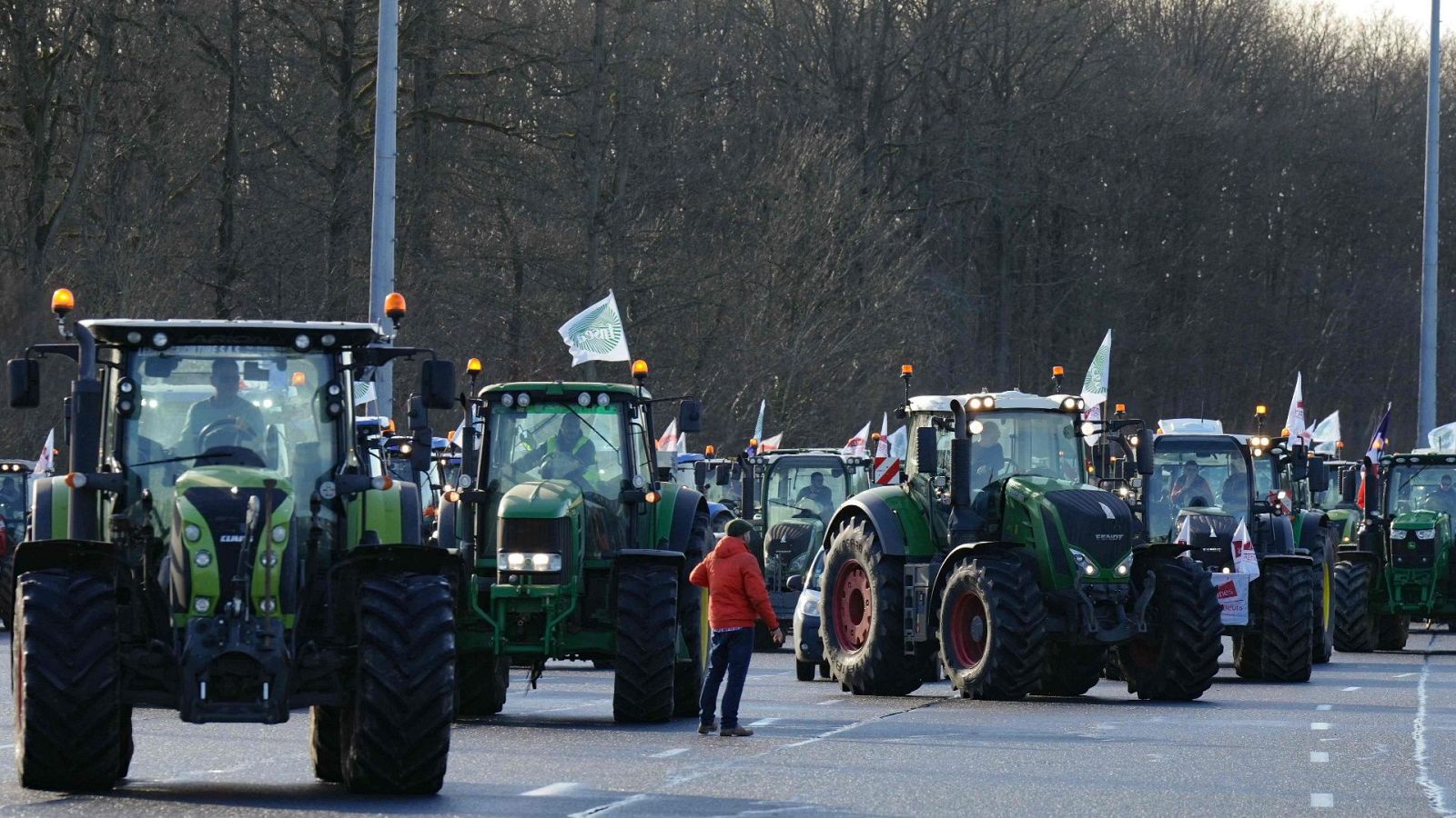 La tarde en 24 horas - 26/01/24 - ver ahora