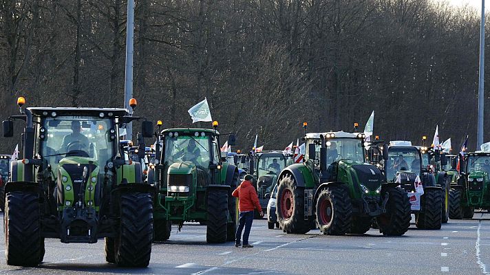 La tarde en 24h - La tarde en 24 horas - 26/01/24