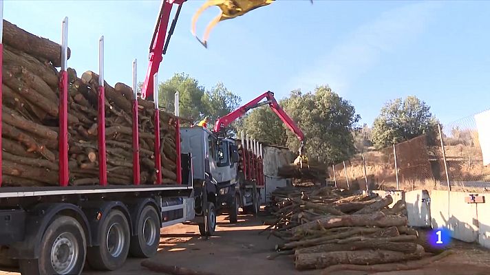 L'Informatiu - Les altes temperatures enfonsen la venda de llenya
