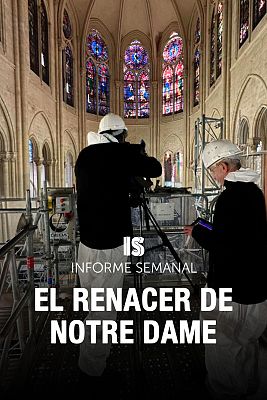 El renacer de Notre Dame