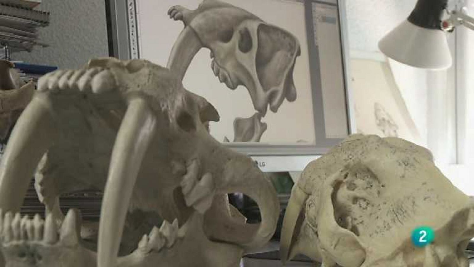 Biodiario - 28/11/12 - Ver ahora