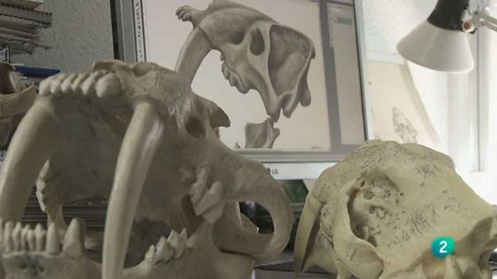 Biodiario - Biodiario - 28/11/12