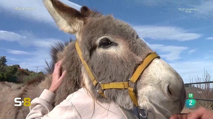 Somos 8 - Somos 8 - 29/01/2024