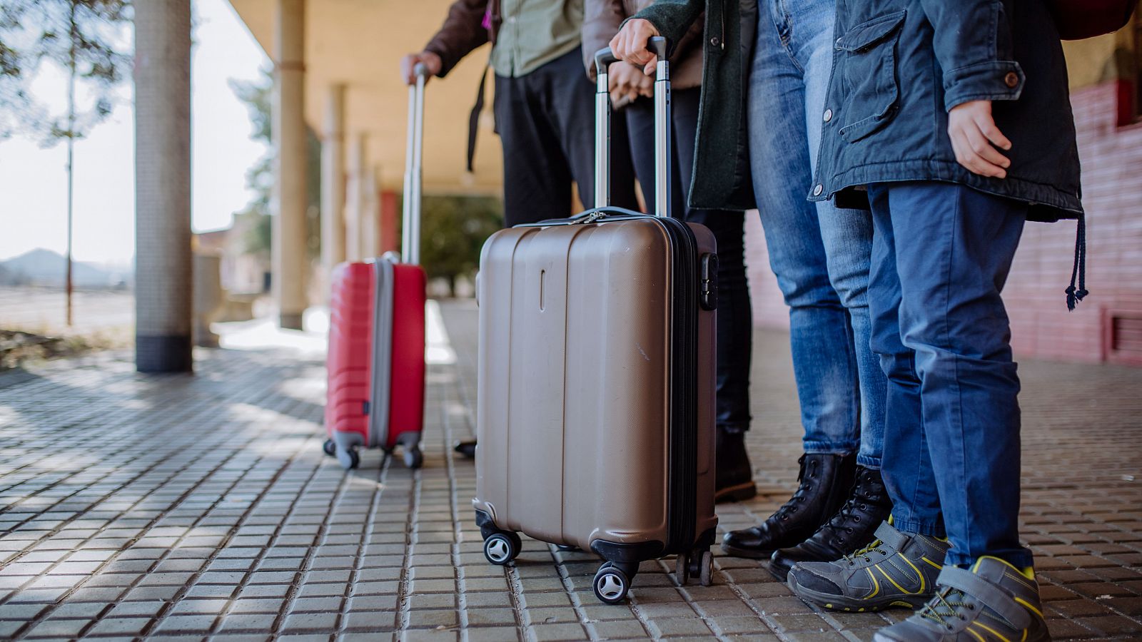 Atasco en las solicitudes de asilo en España | Ver