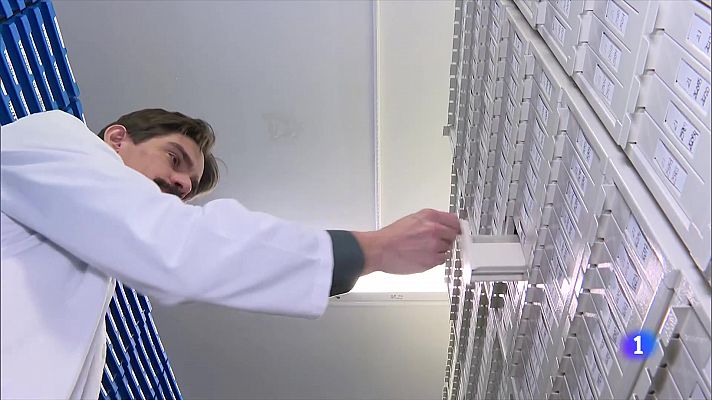 L'Informatiu - Detecten el càncer de mama a través d'intel·ligència artificial