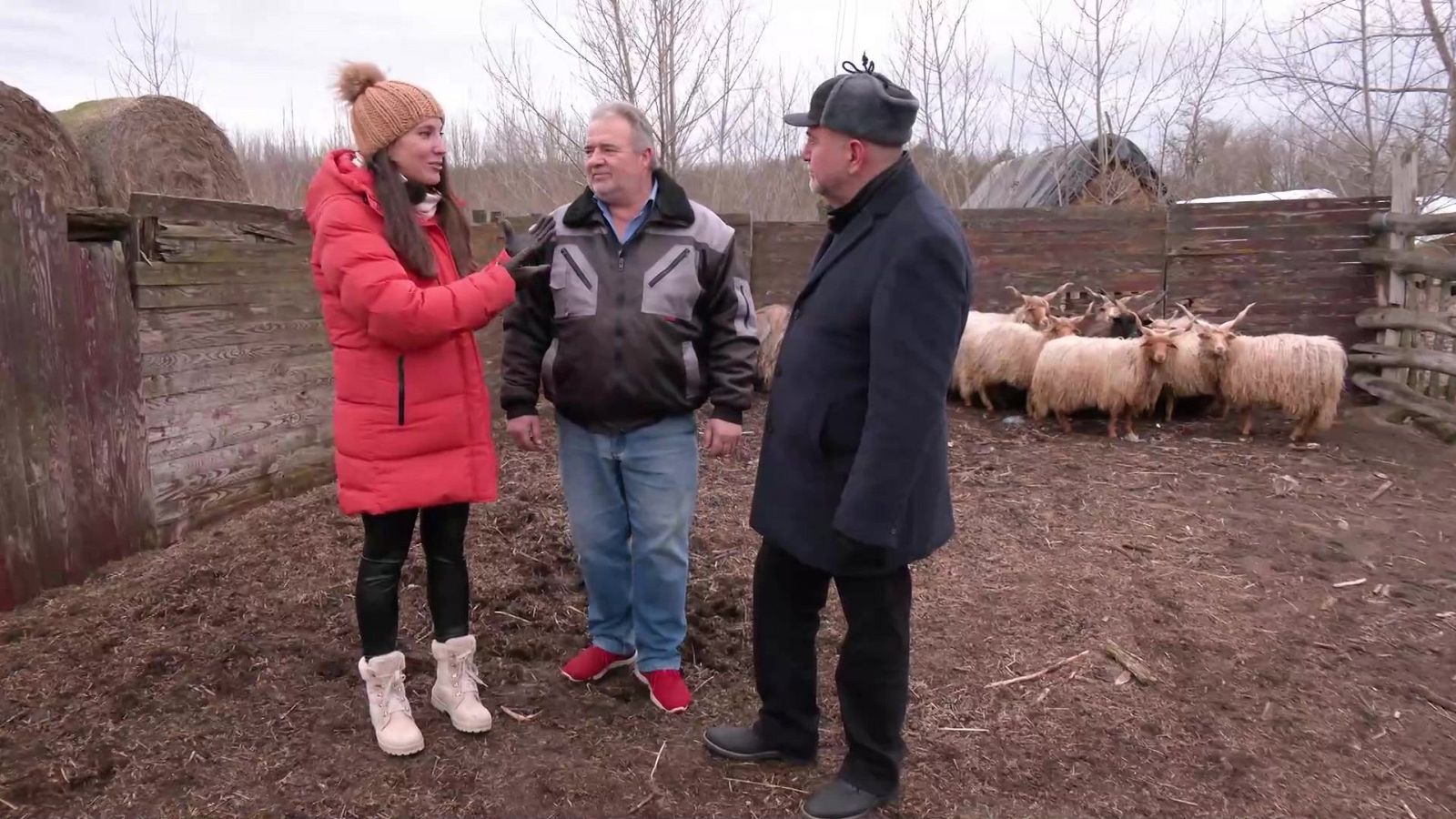 Aquí la Tierra - 31/01/24 - ver ahora