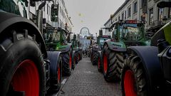 Cientos de agricultores de varios países de la UE se manifiestan en Bruselas coincidiendo con la cumbre de líderes de la UE