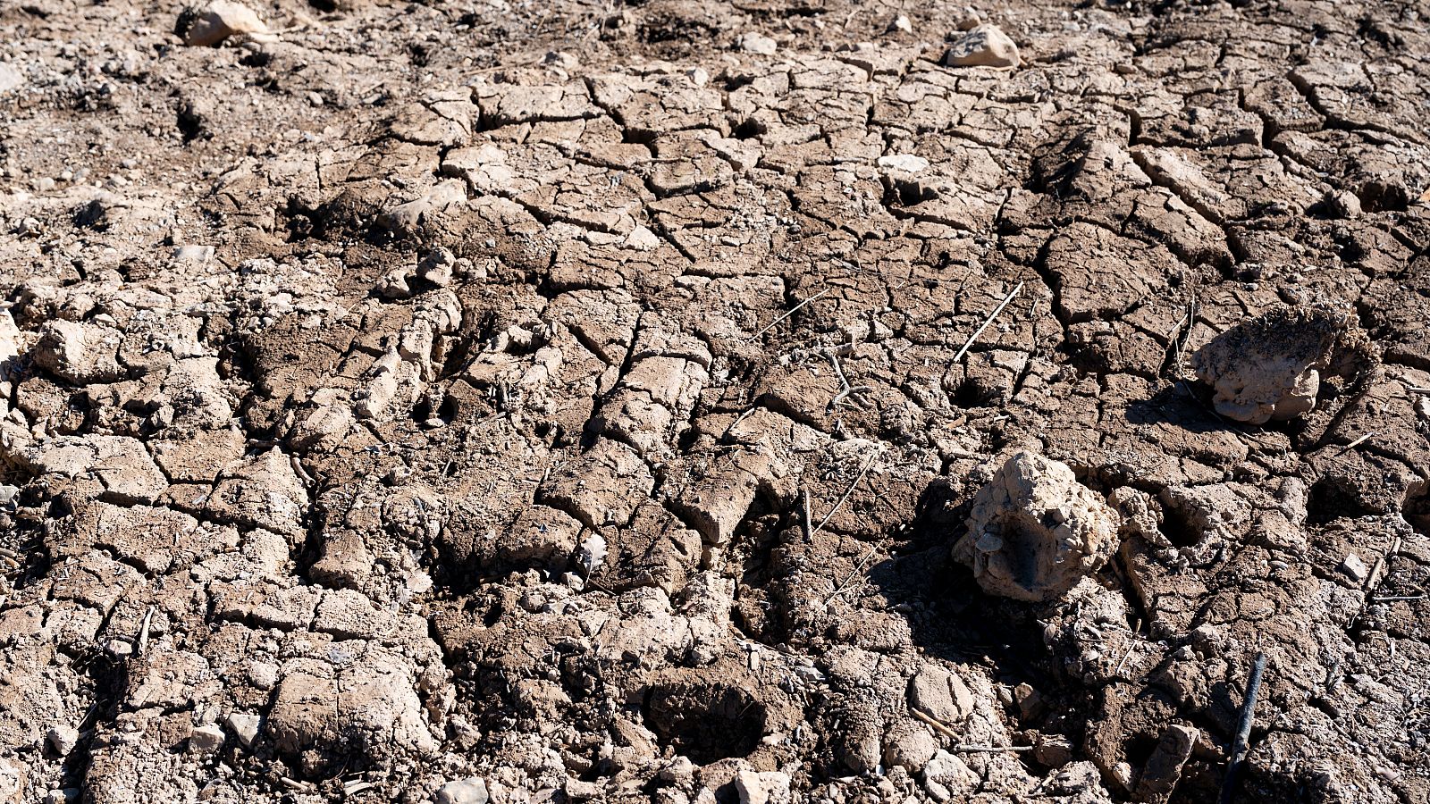 España sufre periodos de sequía desde hace dos años