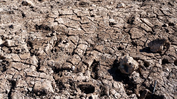 España sufre periodos de sequía desde hace dos años por causa de los veranos cálidos y los inviernos secos
