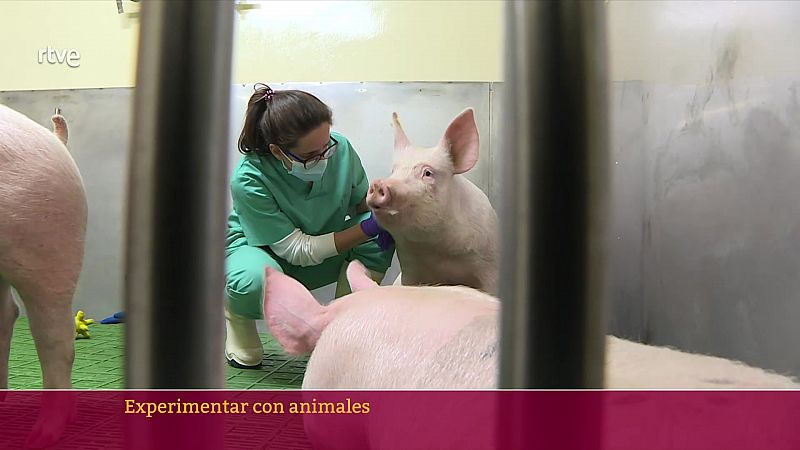 Objetivo Planeta - Experimentar con animales - ver ahora