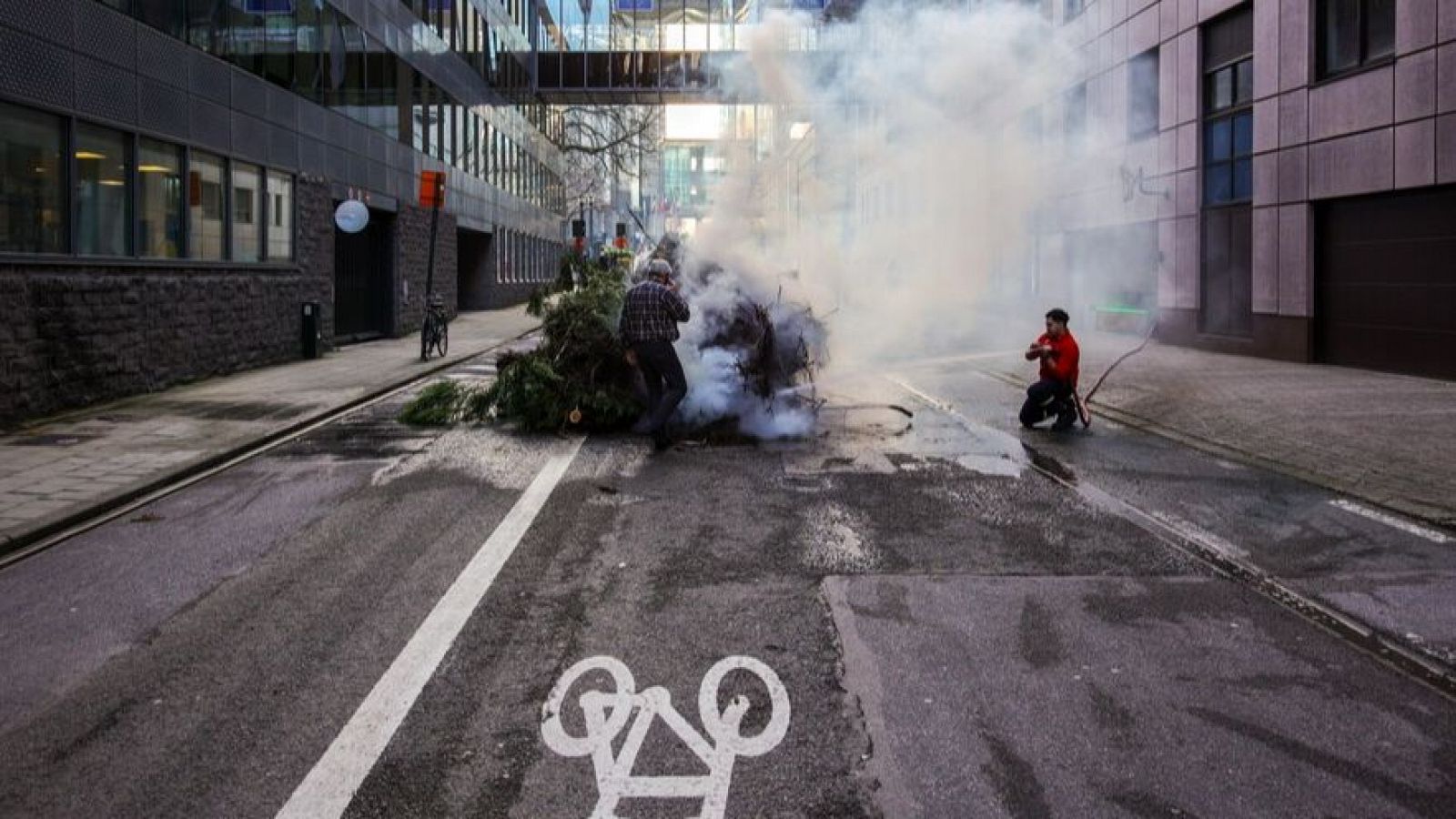 Telediario 2 en cuatro minutos - 01/02/24 – RTVE.es | Ver