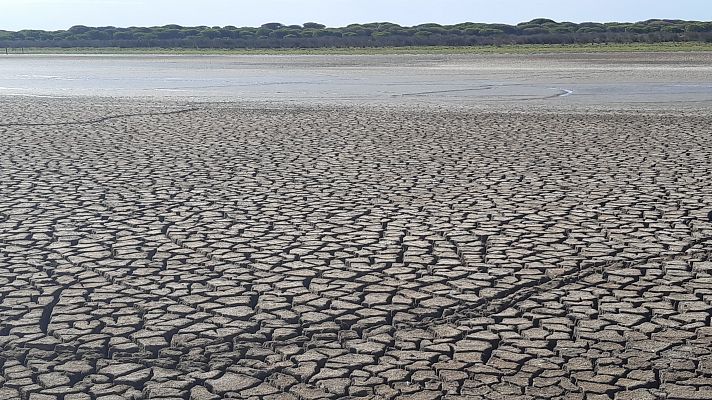 La biodiversidad de Doñana, en peligro tras el año con menos lluvias de los últimos diez