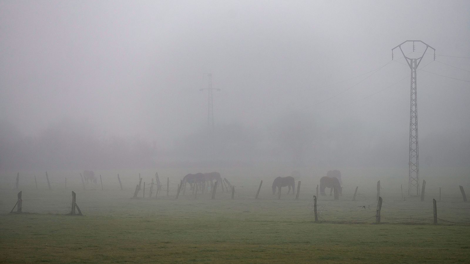 El tiempo matinal - 02/02/2024 - El tiempo | Ver