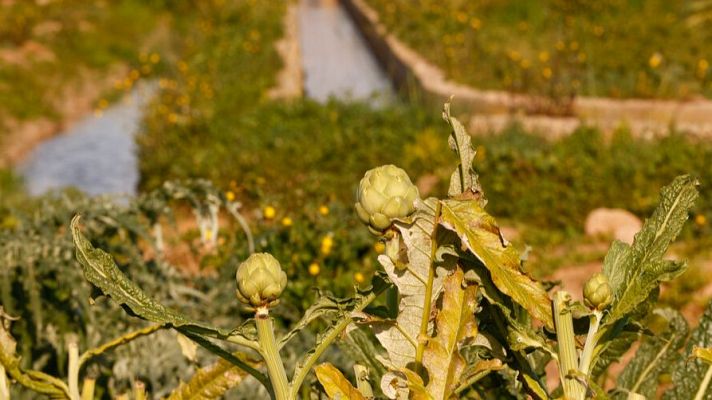 Telediario 1 - Telediario 1 en 4' - 02/02/24