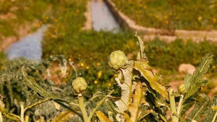 Telediario en lengua de signos - Telediario - 15 horas - 02/02/24 - Lengua de signos
