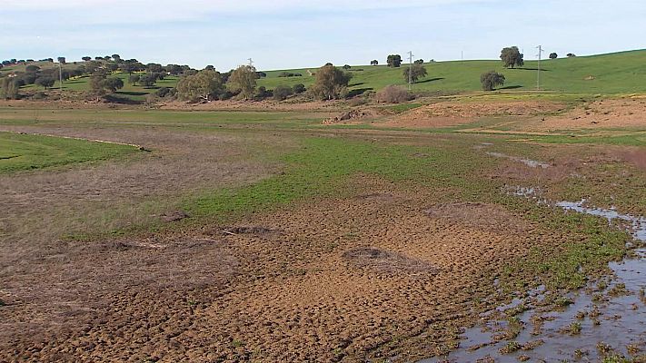 Informe Semanal en lengua de signos - Informe Semanal - 03/02/24 - Lengua de signos