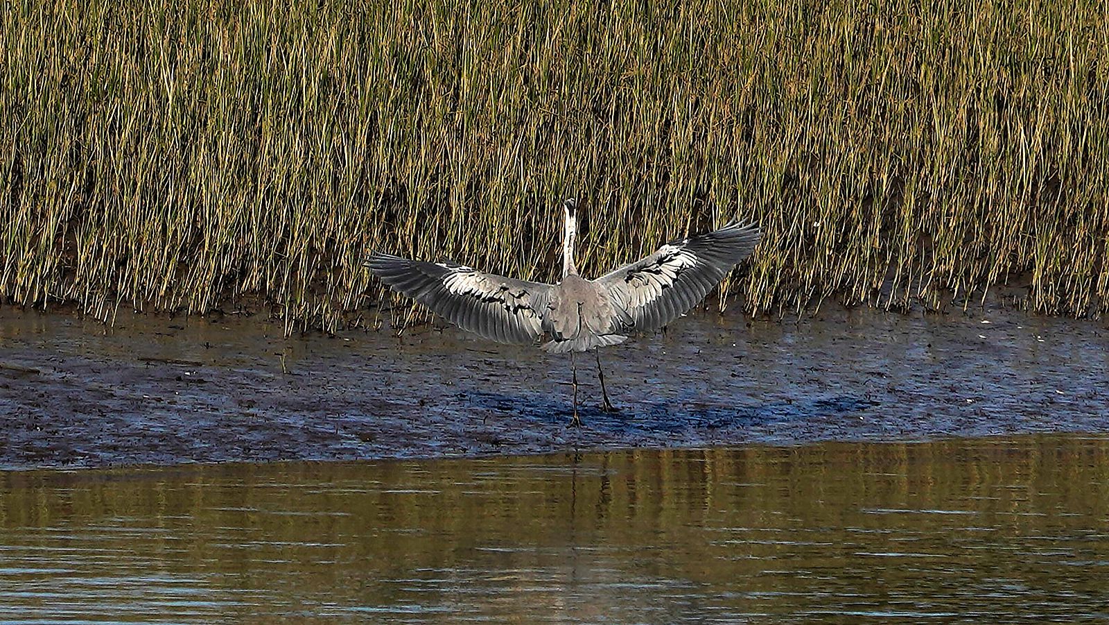 Cielos despejados y temperaturas por encima de lo normal - El tiempo | Ver