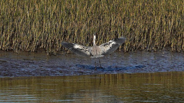 El tiempo - Cielos despejados y temperaturas por encima de lo normal