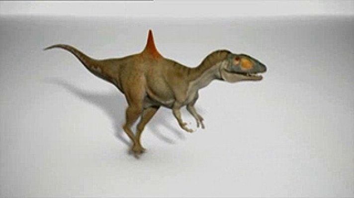 Universo UNED - El cazador jorobado de Cuenca.