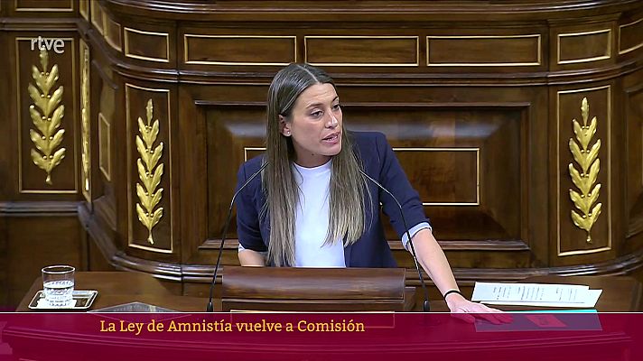 Parlamento - Ley de Amnistía