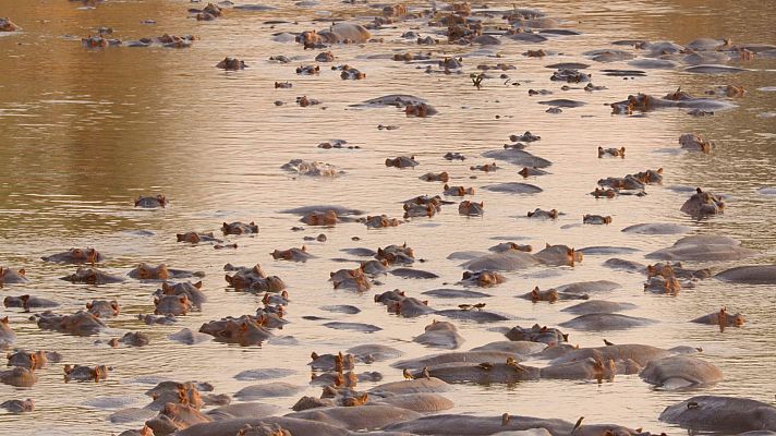 La gran sequía - Empieza la sequía