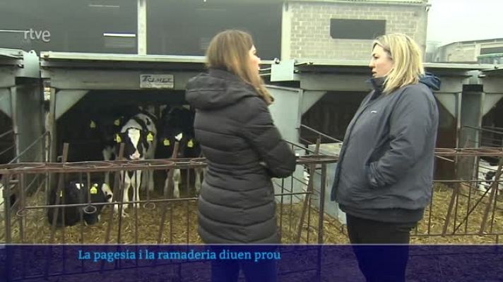 L'Informatiu - Falta de relleu generacional, burocràcia i exigències de la PAC: radiografia del sector agrícola i ramader