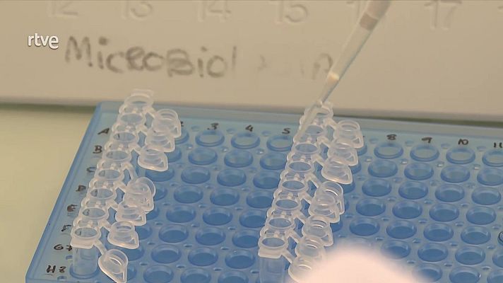 La tarde en 24h - La tarde en 24 horas - 06/02/24