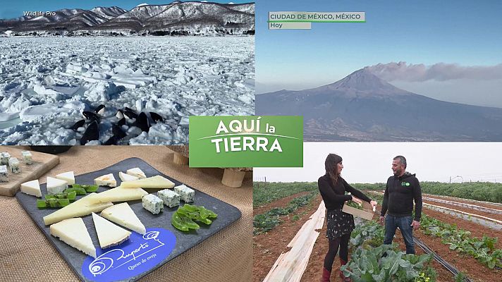 Aquí la Tierra - 06/02/24