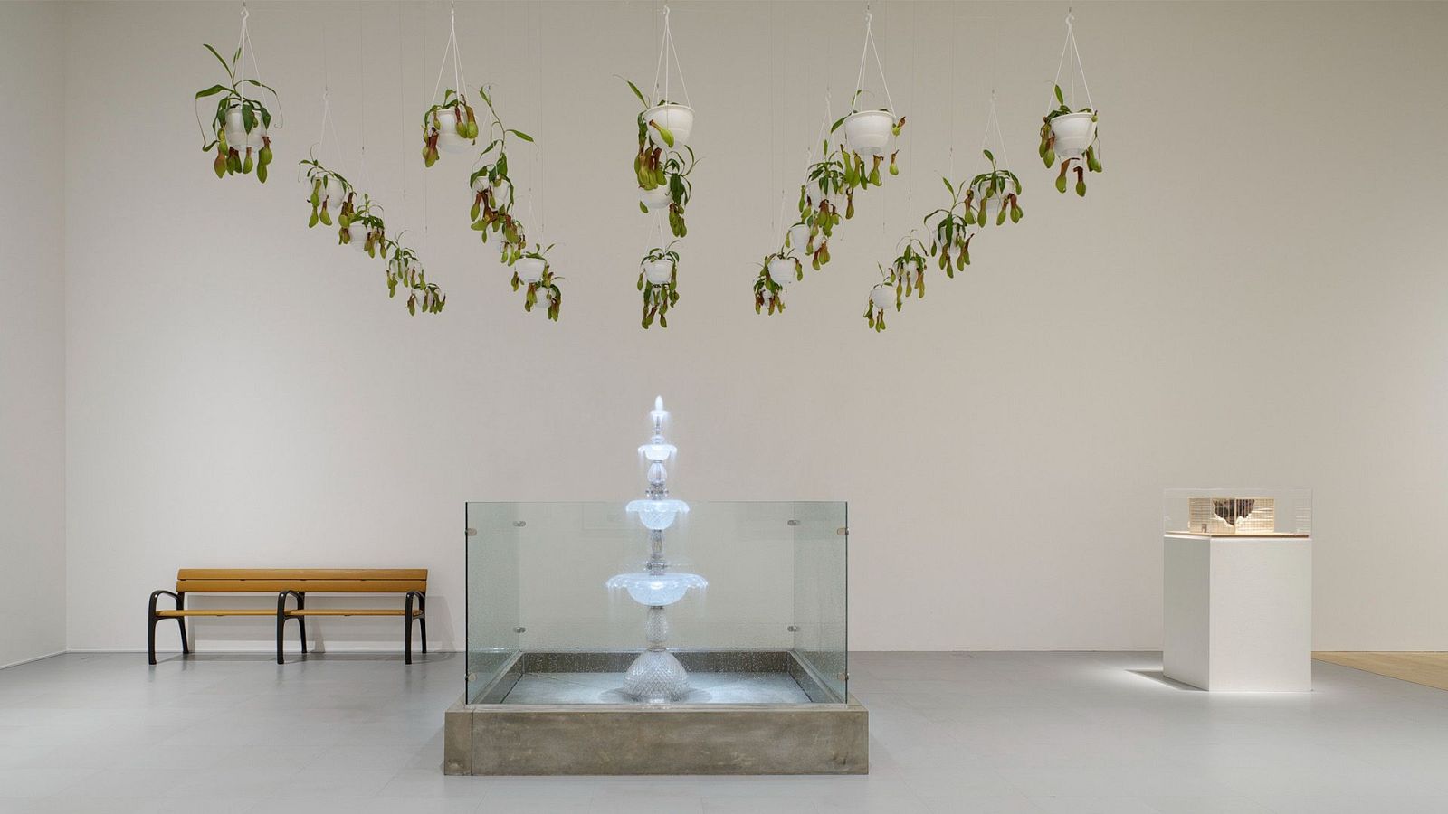 Metrópolis - Remedios - ver ahora