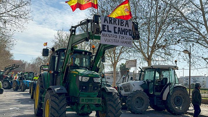 Telediario en lengua de signos - Telediario - 8 horas - 07/02/24 - Lengua de signos