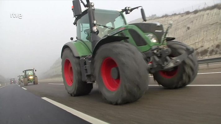 Diario 24 - Diario 24 - 07/02/24