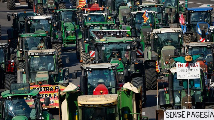 Informativo 24h - Informativo 24 horas - 14h -  07/02/24